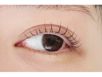 パレット(palette)/●