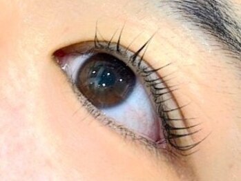 オリー掛川大坂店(OLY)の写真/まつげパーマ＋美眉アイブロウスタイリング6800円★経験豊富なアイリストが骨格迄見極め施術致します◎