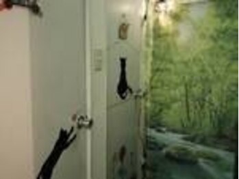 ラナゴミ 千葉駅前店(La nagomi)/自然の中にトイレが!?