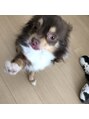ジューシーアイ 志木店(Juicy Eye) 愛犬のニコちゃん★
