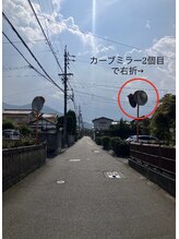 クロモジ(kuromoji)/