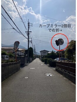 クロモジ(kuromoji)/