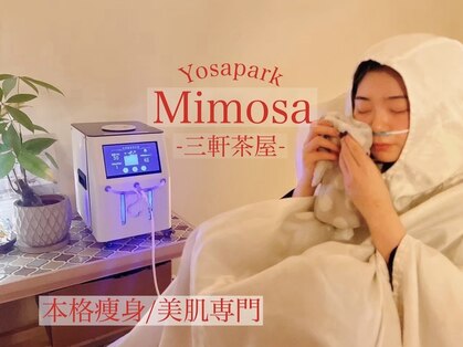 ヨサパーク ミモザ 三軒茶屋店(YOSA PARK Mimosa)の写真
