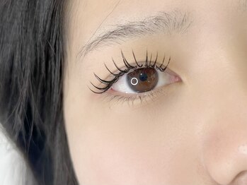 リーウ(leeu)/バインドロック80束