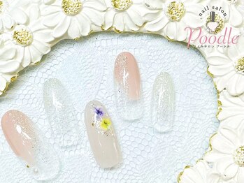 プードル(Poodle)/トレンドデザイン