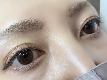 ミニョンアイラッシュデザインサロン くずは店/フラットマットラッシュ カラー