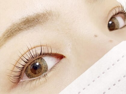 レッドビューティー(red beauty)の写真