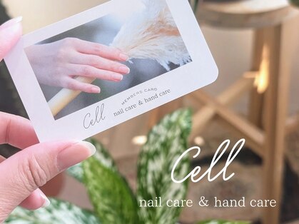 セル(Cell)の写真