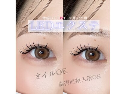 ラメル(Lameru)の写真