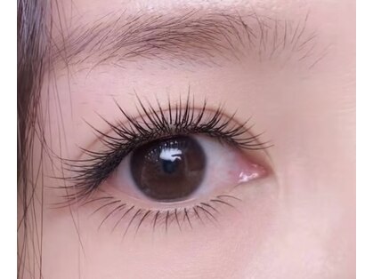 プカ(Puka)の写真