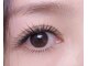 プカ(Puka)の写真