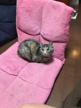 リリアーナ(Liliana)/