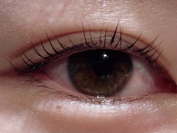 カラン 焼津店(CALIN)/シンプリフィ