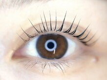 まつげパーマ/まつげエクステ