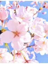 手ごころ 若草通店 島崎