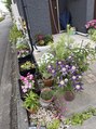 マーメイド(Mermaid)&nbsp;まだまだお花あります♪