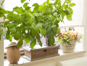 エステサロン カラーズ(COLORS)/◆内観◆