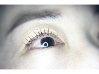 アバンテ シル(Avante_CIL)/ラッシュリフト