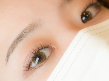 アージル(Argyll)/