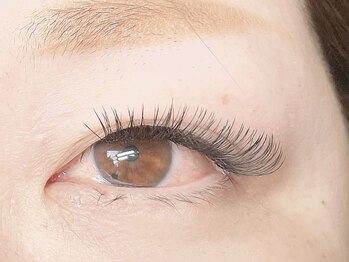 ランプ(LAMP)/Great ラッシュ付け放題