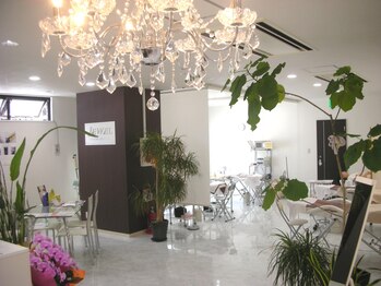 ジュエル(JEWEL)/店内