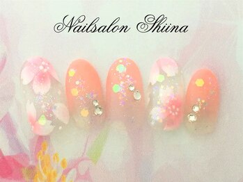 シイナ/定額デザイン10800円