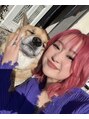 セレーノ(SERENO)&nbsp;愛犬ちゃたろうです！他ダックス二匹居ます♪