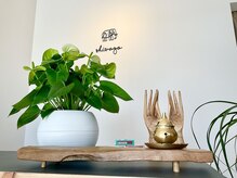 シバゴ タイ トラディショナル マッサージ(Shivago Thai traditional massage)/店内カウンター（昼）