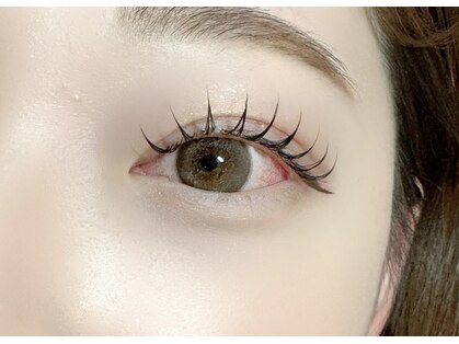 シェリー(Cherie)の写真