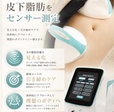 ぷれじーる