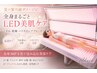 白玉Body【日焼け・くすみ・ハリ感】夏の紫外線リセット★全身LED美白60分