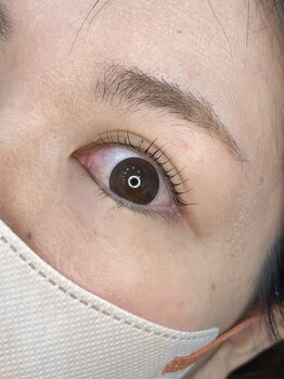 プルメリア(Plumeria)/