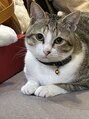 ビューティークリニックコダマ 国分店&nbsp;10月に猫ちゃんお迎えしました！毎日癒されてます♪