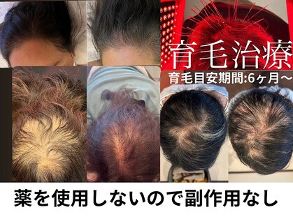 パンダ(Panda)の写真