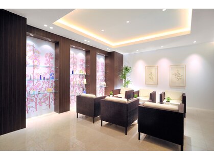 イービーシーシー表参道(e.b.c.c.)の写真