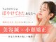 コガオ レンネ(Lenne)の写真