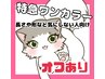 なるべく急ぎでな方はこちら