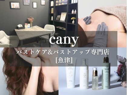 キャニー(cany)の写真