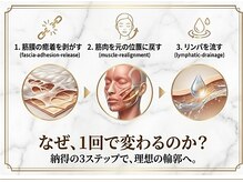 パイナップルピース(Pineapple Peace)/ファシアリフティング