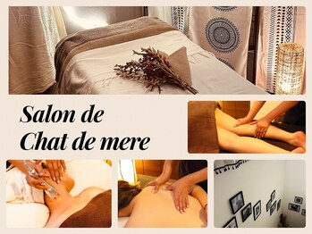 シャドメール(chat de mere)