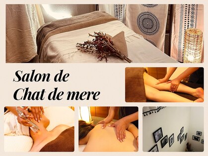 シャドメール(chat de mere)の写真