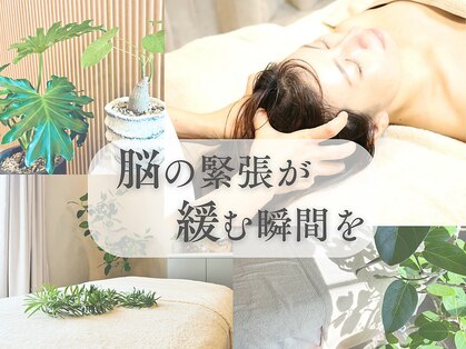 メグル(meguRu)の写真