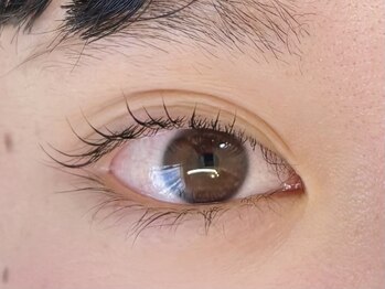 アフェディア(AFEDIA)/