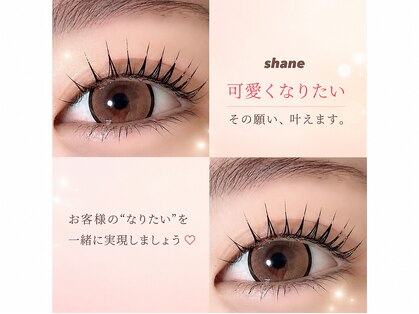 シェーン(shane)の写真