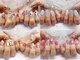 フェリスネイル 池袋店(Feliz Nail)の写真/【低価格×デザイン豊富*コスパの良いネイルサロン】定額シンプル￥5990*トレンドパーツ豊富★［池袋］