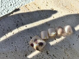 フット　優雅なお花マグネット