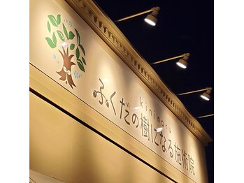 ふくだの樹になる施術院/夜の外観