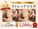 ダリア(Dahlia)の写真