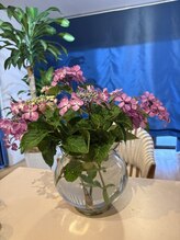 オランジェ/義母の庭から　