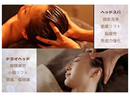 カムトゥルー(come true)の写真